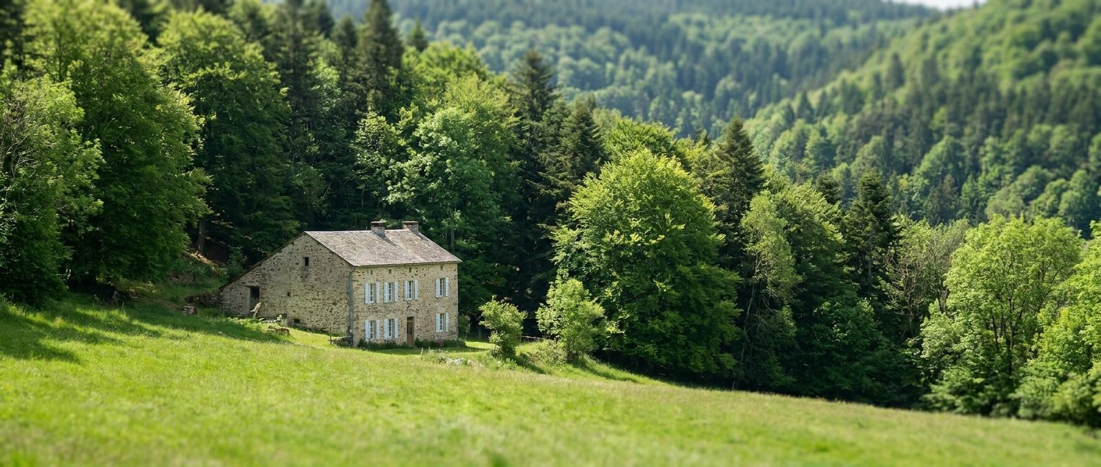 La Source et la Sorcière, gîte en lisière de forêt au pied du Pic de Nore en Montagne Noire