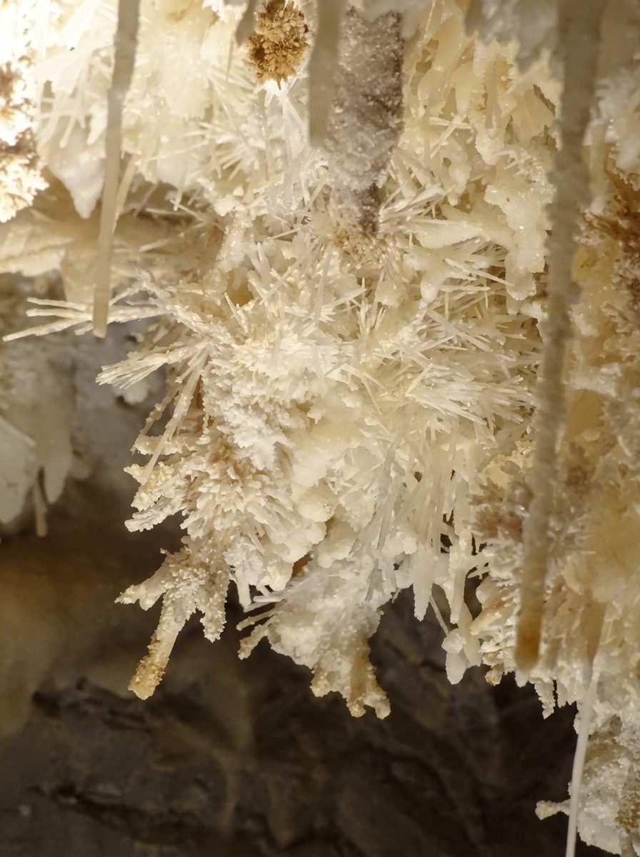 Gros plan sur des cristaux blancs d'aragonite en aiguilles sur une paroi de grotte